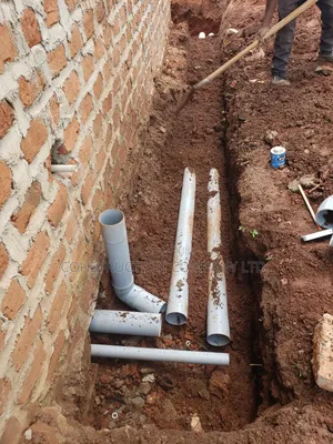 Biodigester and Drainage System