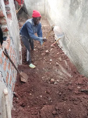 Biodigester System for Two Toilets