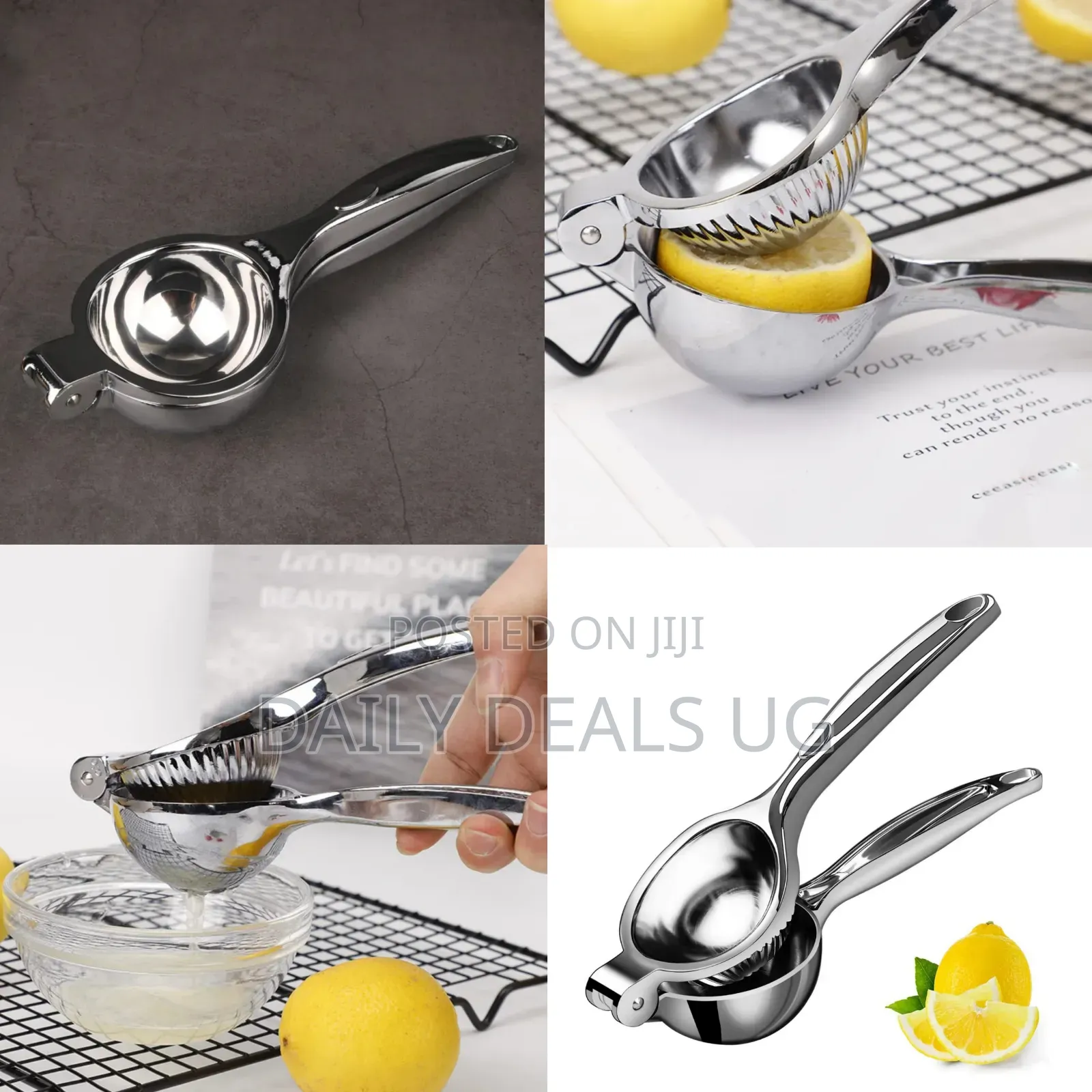 A Manual Citrus Juicer, A Lemon Squeezer