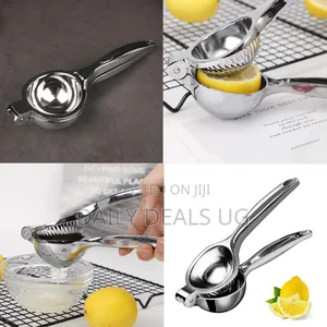 A Manual Citrus Juicer, A Lemon Squeezer