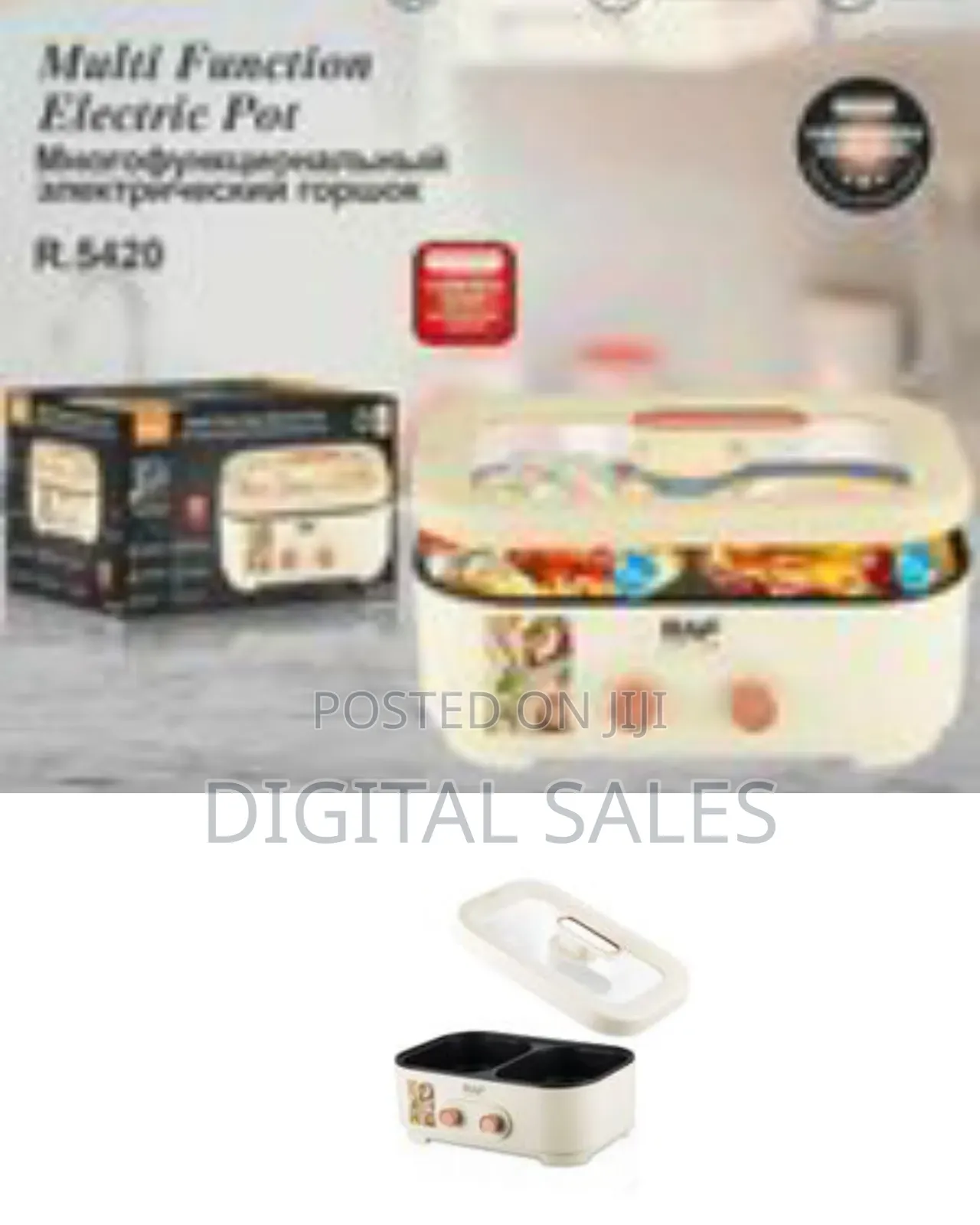Raf 6l Big Capacity 2 in 1 Multifunctional Electric Hot Pot