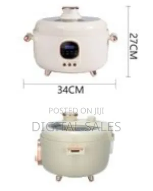 4 Litre Desktop Integrated Duck Fast Electric Pressure Cooker