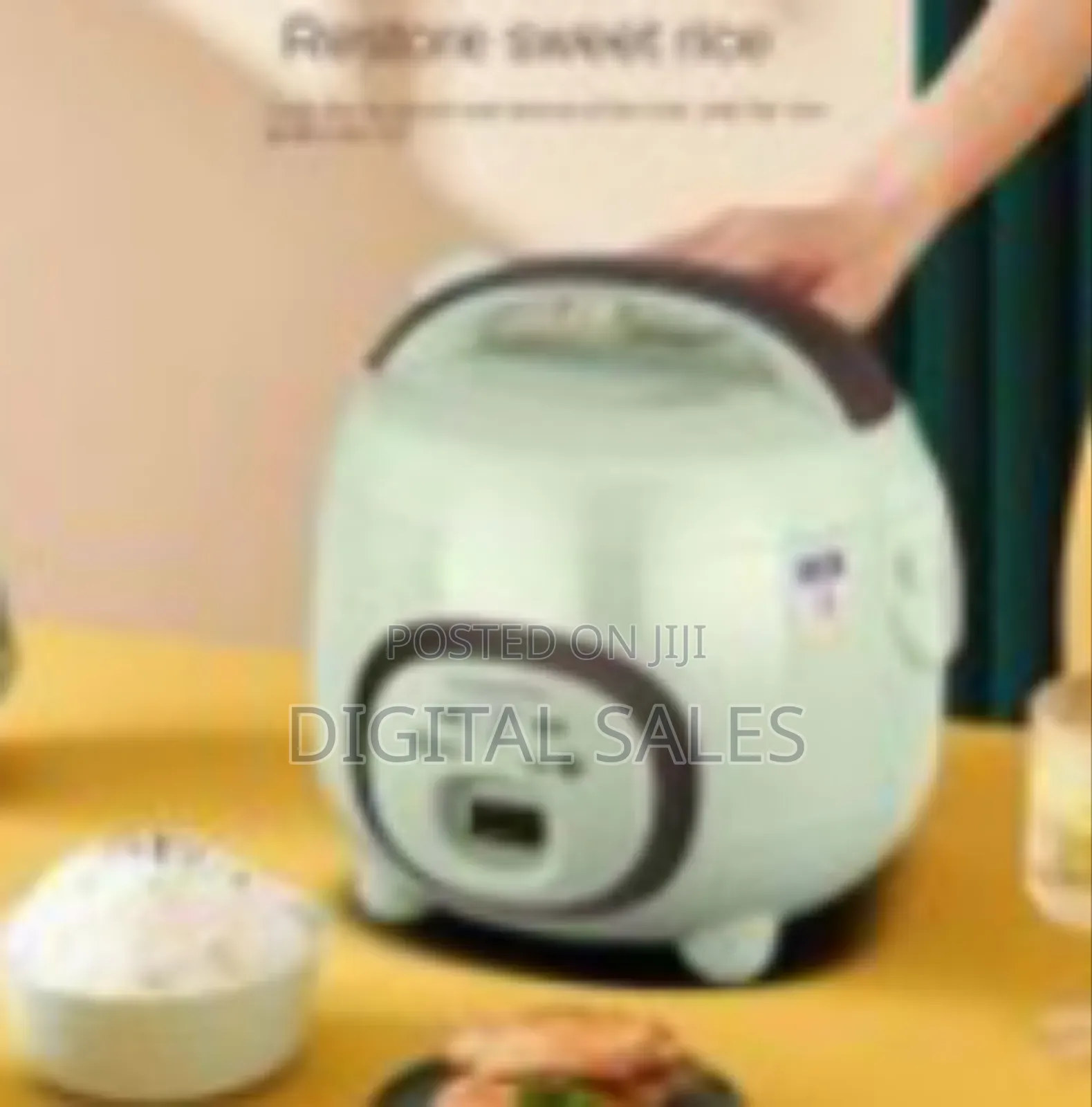 Aide 1.6l Non-Stick Multi-Function Mini Rice Cooker With Stainless