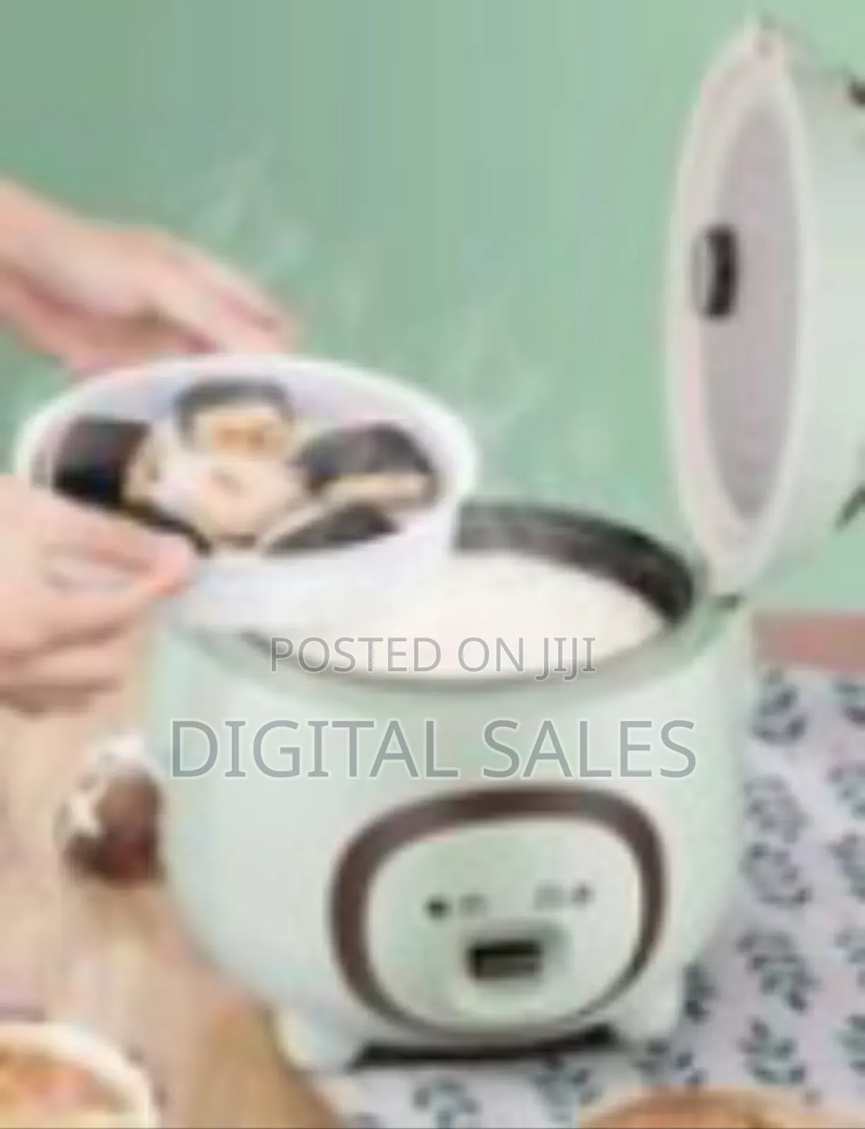 Aide 1.6l Non-Stick Multi-Function Mini Rice Cooker With Stainless