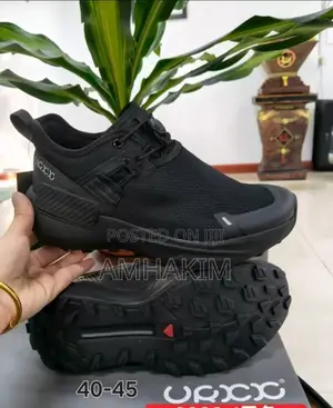 Classic Ecco Biom 2.1 Country Trail Hiking Sneakers in Stock