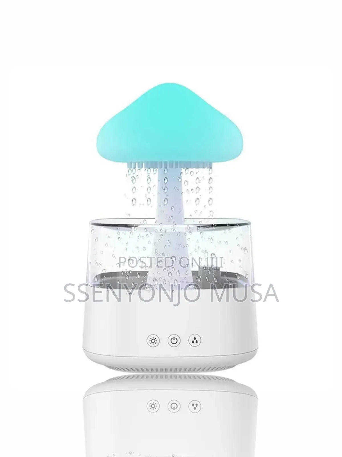 Rain Cloud Humidifier-3-in-1 Humidifier,Oil Diffuser Light