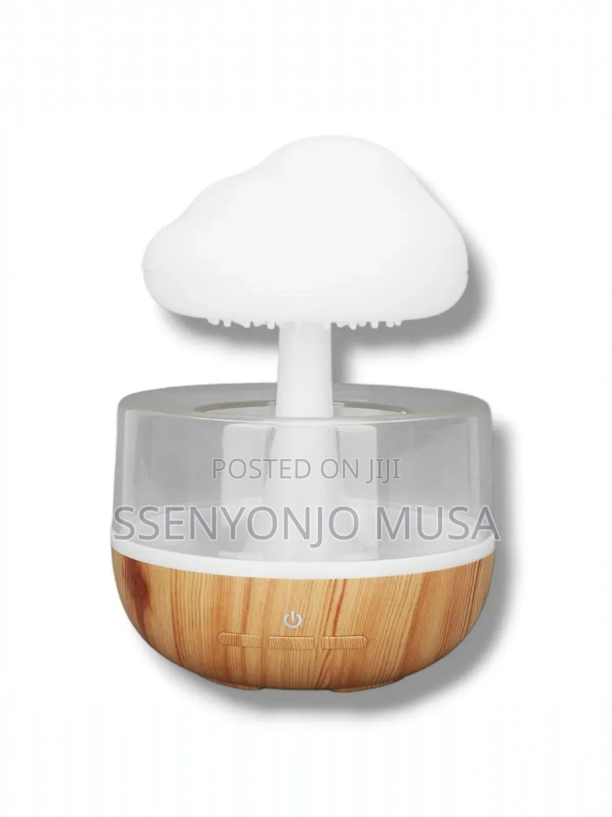 Rain Cloud Humidifier-3-in-1 Humidifier,Oil Diffuser Light