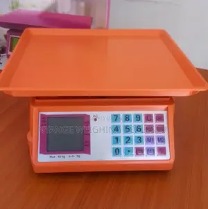 Table Top Stainless Steal Electronic Balance Scale Img002