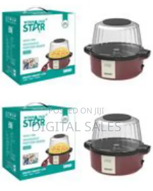 Winning Star 700w 2l Electric Household Stirring Hot Oil Mini Hot Air