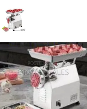 Commercial Meat Grinder 770lbs/H Electric Sausage 2200w Stainless