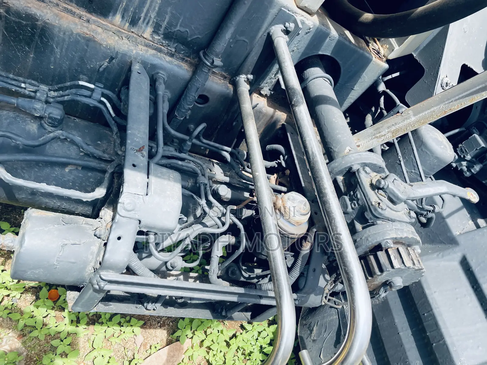 Juston Baby Face Fuel Tank