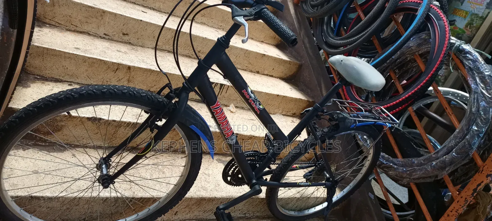 Bbike for Adultss