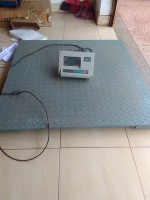 3t Weigh High Accuracy Weighing Scale Platform Floor Weighing Scale