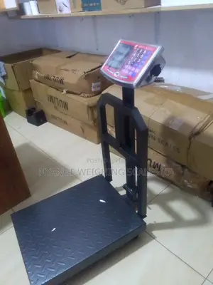 Simple Operation Cast Iron Platform Weighing Scale 40kg