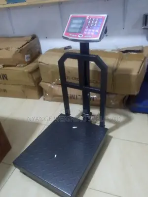 Simple Operation Cast Iron Weigh Platform Weighing Scale 350kg