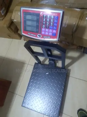 Steady Performance Weigh Cast Iron Platform Weighing Scale 40kg