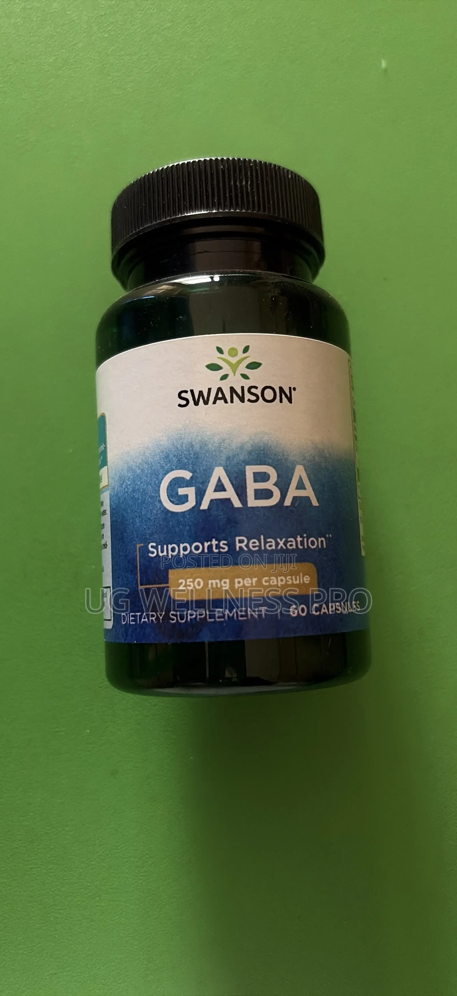 Swanson, Gaba, 250 Mg, 60 Capsules