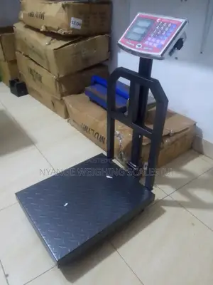 Cast Iron 350kg Weighing Scale Digital Weigh Platform Weigh Scales