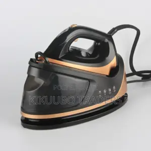 Multifunctional Electric Steam Iron