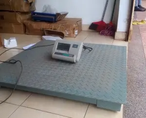 500kg Industrial Weigh Strong Low Profile Platform Weighing Scale [01]