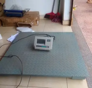 Electronic Digital Weighing Industrial Platform Weighing Scales [002]