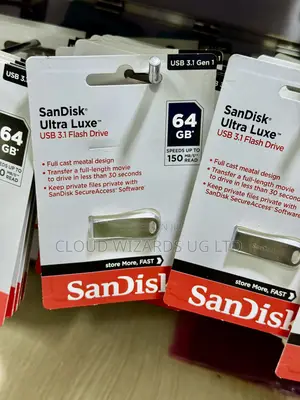 Sandisk 64 Flash Drives
