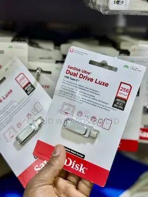 256sandisk Flash Drive