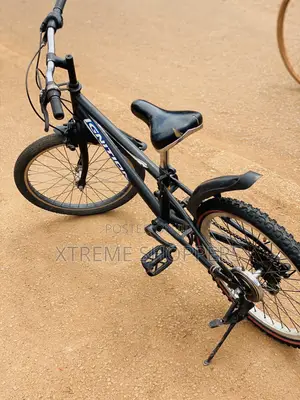 Birthday Gift /Surprise /Bicycle /Bike /Promotion