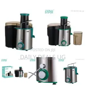 Winningstar Electric Juice Blender/Extractor Juicer- Silver