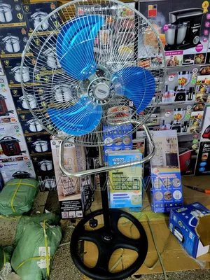 Electric Stand Fan