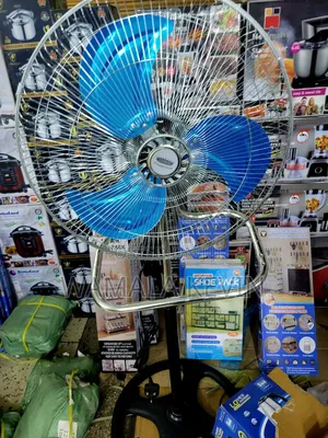 Electric Stand Fan