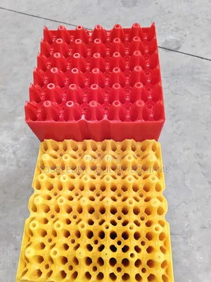 30 Plastic Egg Tray