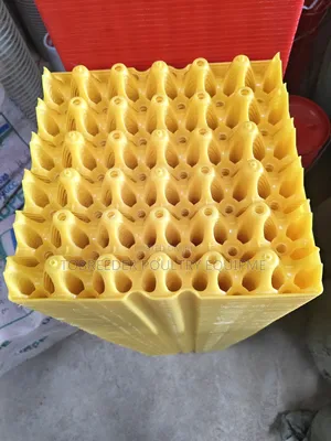 30 Plastic Egg Tray
