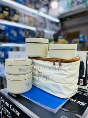 Insulated Lunch Boxes With a Carrying Bag.