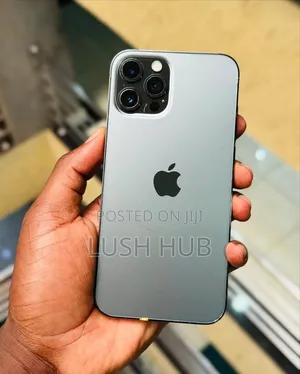 Apple iPhone 12 Pro Max 128 GB Gray