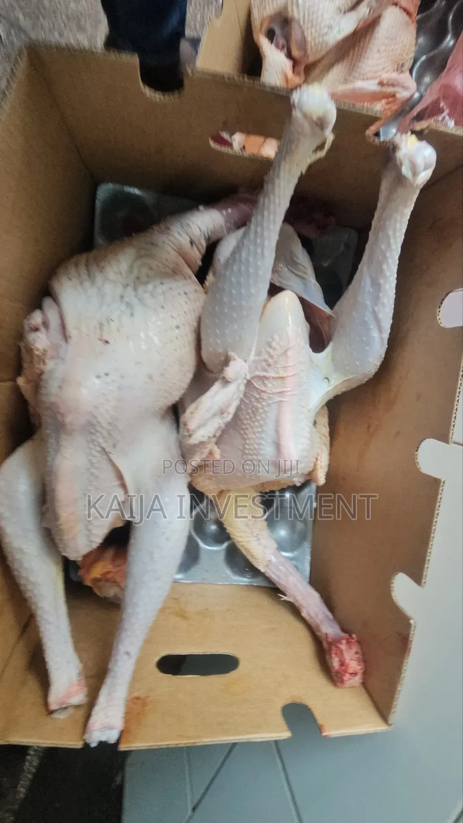 Fresh Slaughtered Halaal Turkeys on Order