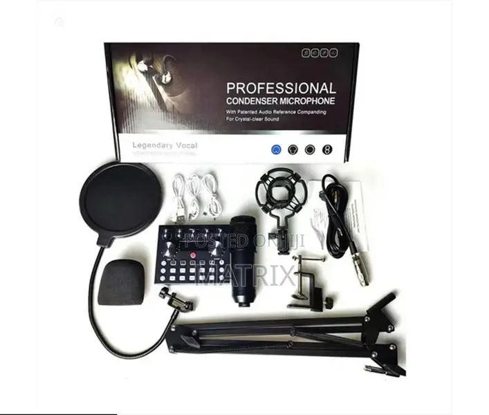 Professional Condenser Microphone V10