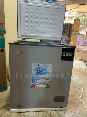 Deep Freezer 200l Roch