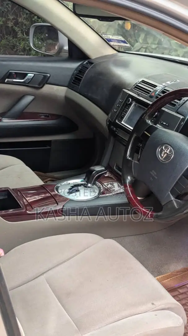Toyota Mark X 2007 Silver