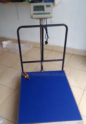A12 Weigh Scale Heavy Duty Platform Weighing Scales Machine 500kg(16)