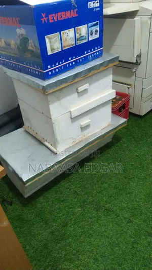 Beehive Langstroth and KTB