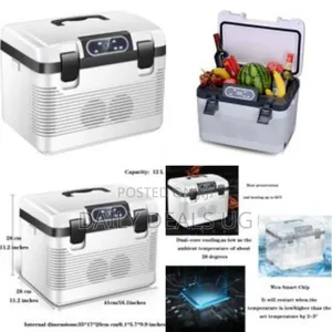 19l Portable Mini Car Refrigerator Freezer Mini Fridge, Dual-Use