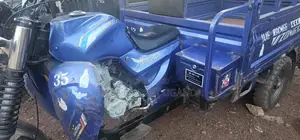 Tricycle Ihemas 2023 Blue
