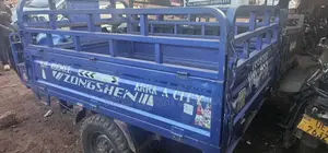 Tricycle Ihemas 2023 Blue