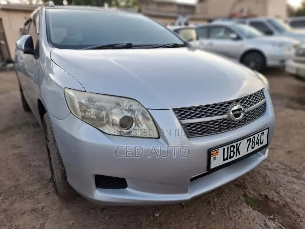 Toyota Corolla Fielder 2010 Silver