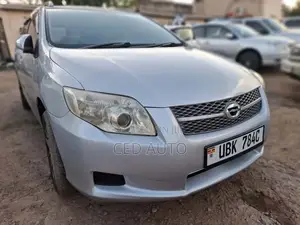 Toyota Corolla Fielder 2010 Silver