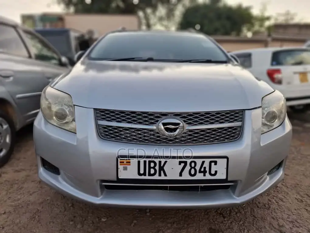 Toyota Corolla Fielder 2010 Silver