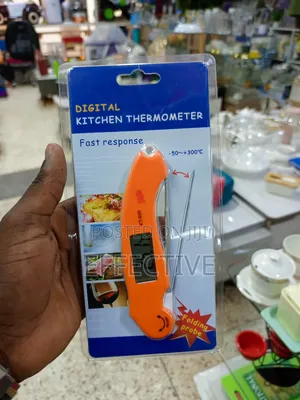 Digital Kitchen Thermometer.