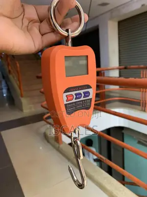 Electronic Hanging Weighing Scale 200kg Weigh Digital Weighing Scale