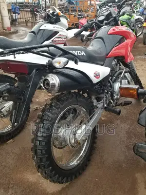 Honda 2012 White